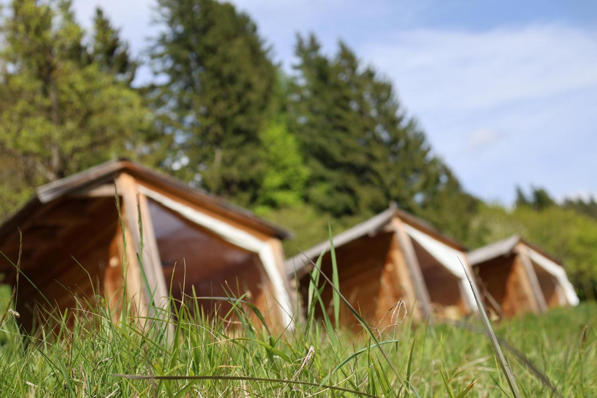 Mountain View Glamping Villa Dovje Dış mekan fotoğraf