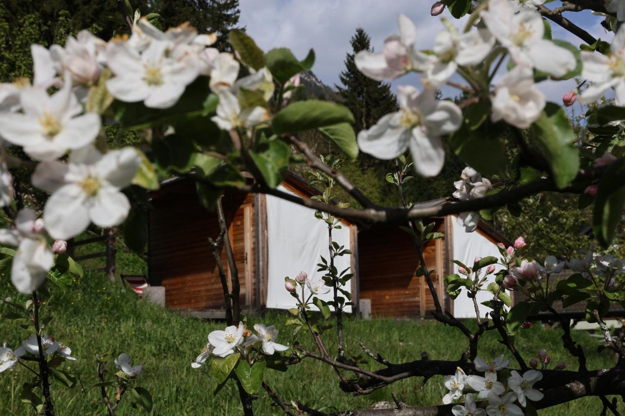Mountain View Glamping Villa Dovje Dış mekan fotoğraf