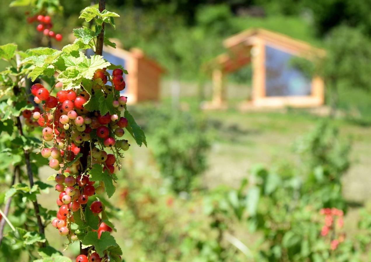 Mountain View Glamping Villa Dovje Dış mekan fotoğraf