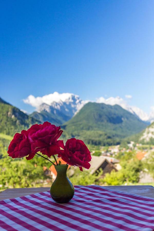 Mountain View Glamping Villa Dovje Dış mekan fotoğraf