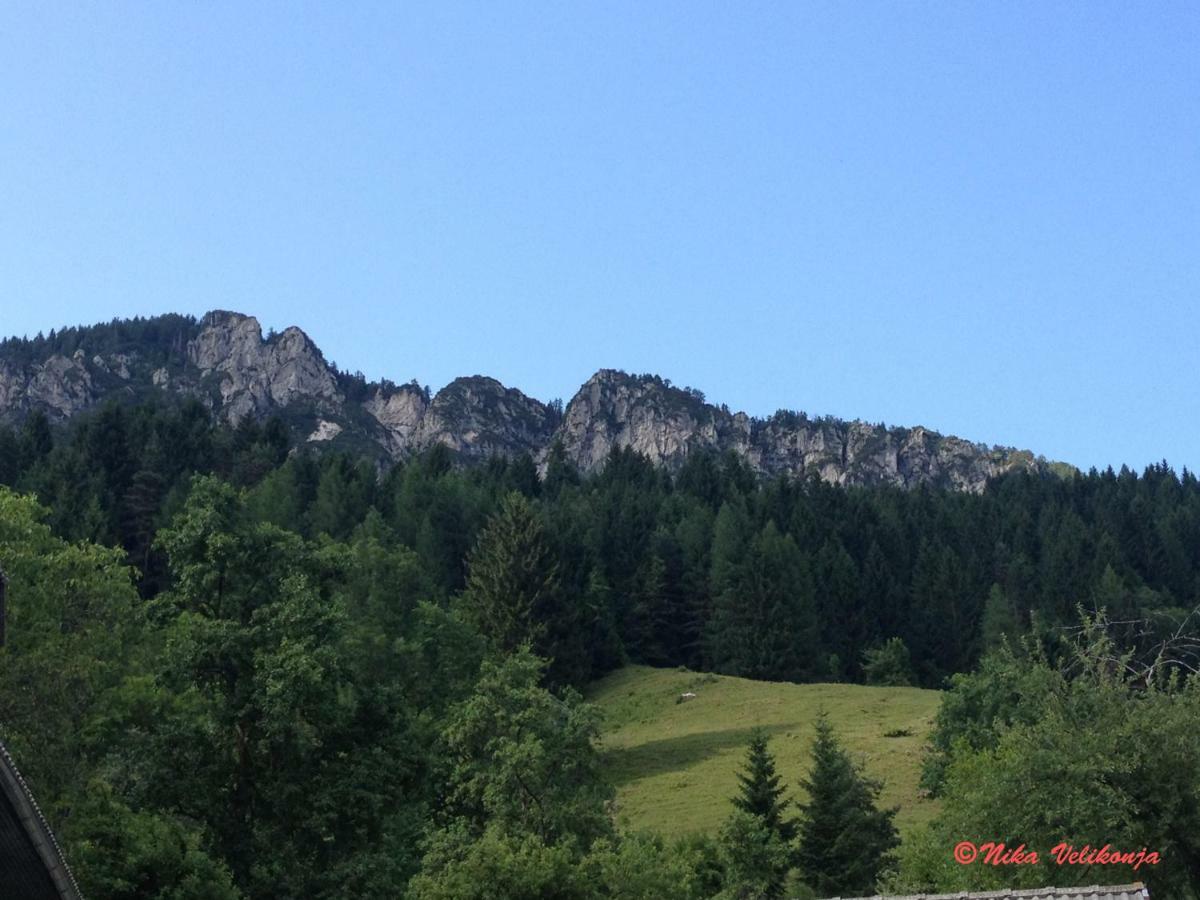 Mountain View Glamping Villa Dovje Dış mekan fotoğraf