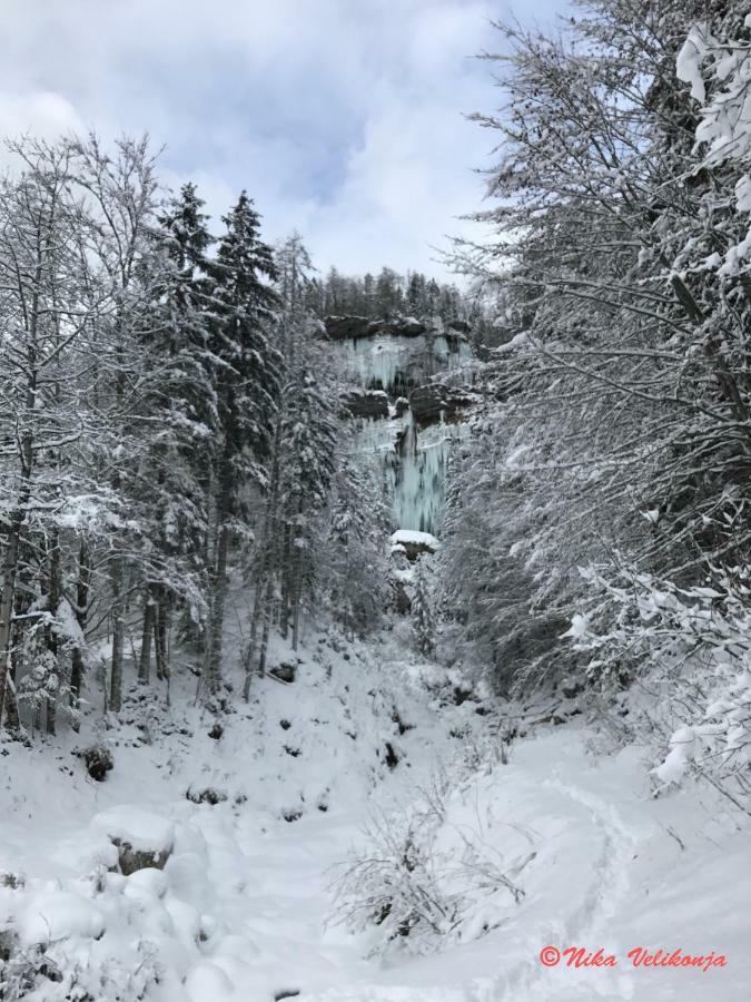 Mountain View Glamping Villa Dovje Dış mekan fotoğraf
