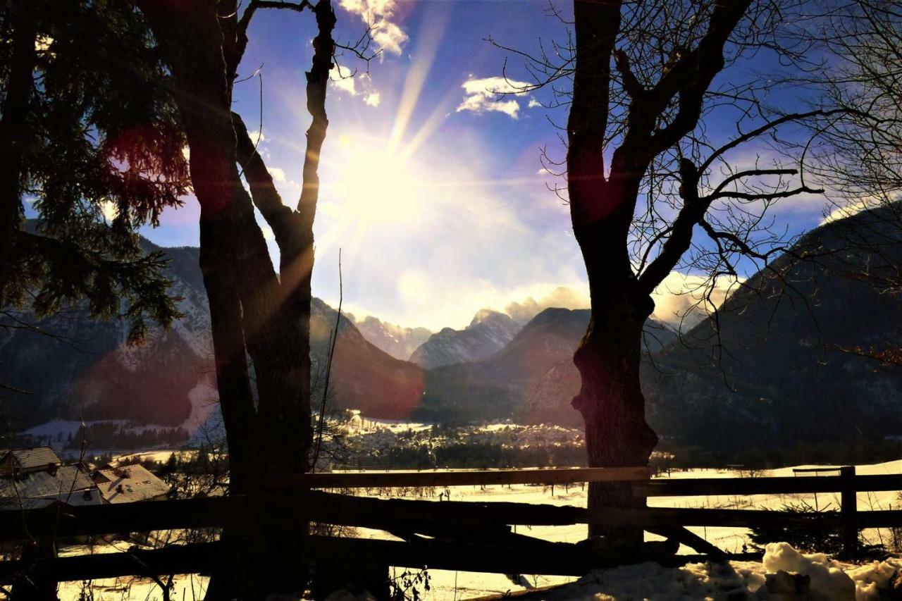 Mountain View Glamping Villa Dovje Dış mekan fotoğraf